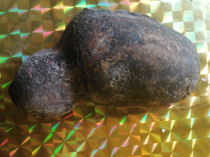 奇石 蛋类化石 古海洋生物化石  标非卖价