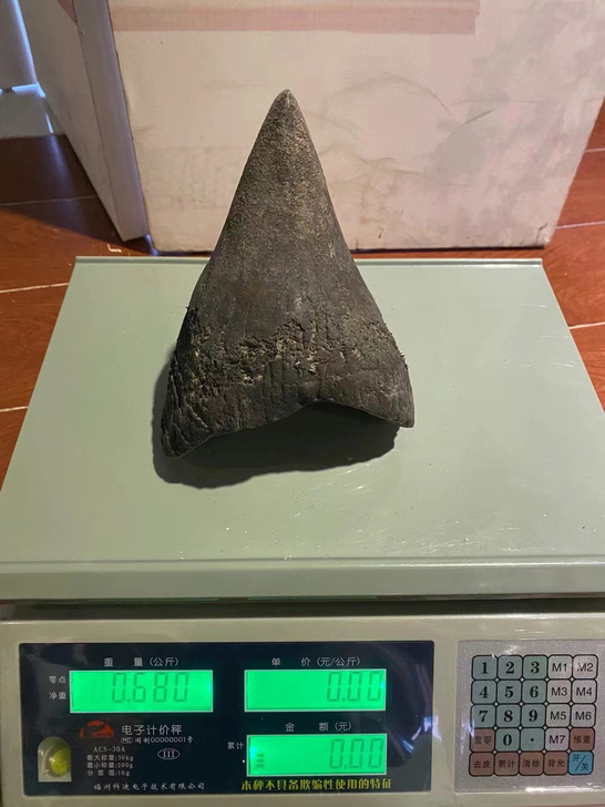 紫檀仿犀角摆件 价格美丽