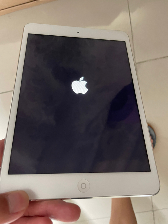 苹果平板电脑,ipadmini1,背面有型号