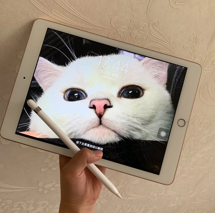 ipad2018 128g便宜卖了95新二...