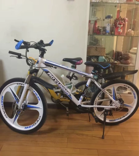 车店不开了,剩下的一批全新山地车高档自行车...