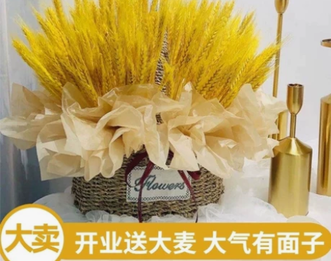 #节后鱼生#天然麦穗干花花束开业大麦客厅田...