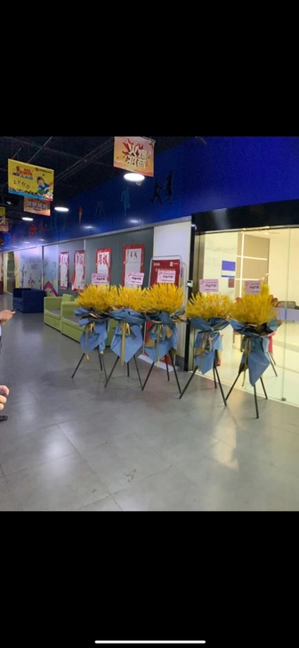 开业花篮,4红5蓝包装,一共9个(开业期间...