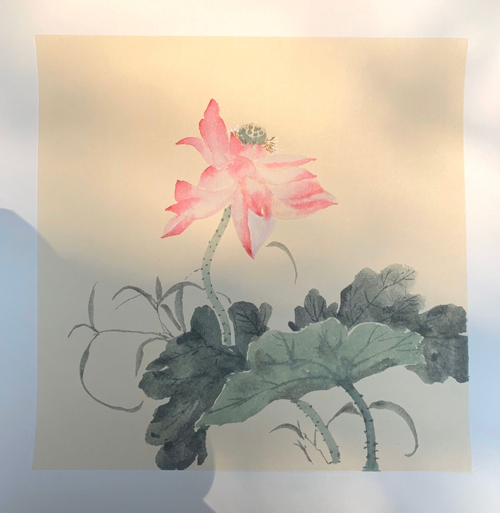 #国画##没骨# 工笔小品 均为自己绘画,...