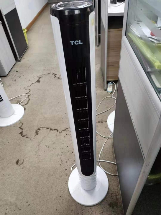 实体店不干了，剩下十多台TCL塔扇，全遥控...