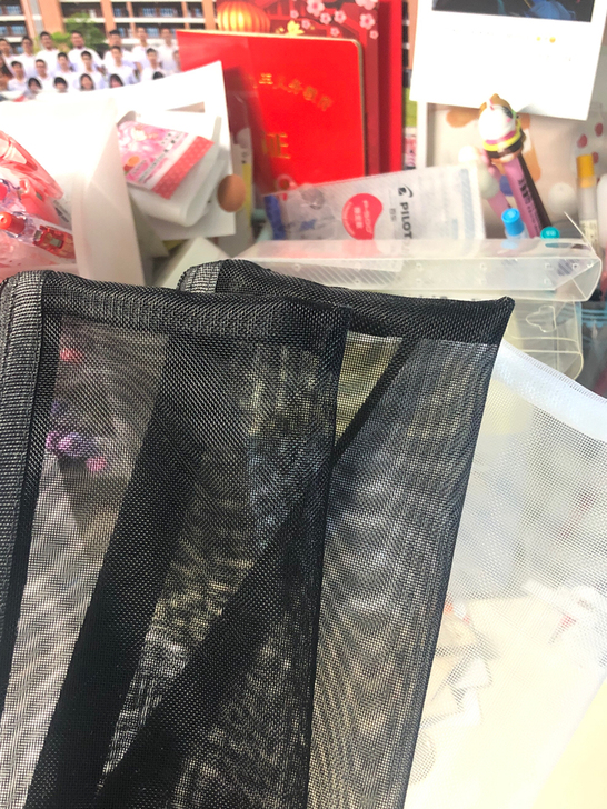 商品：两个黑笔袋+一个白笔袋