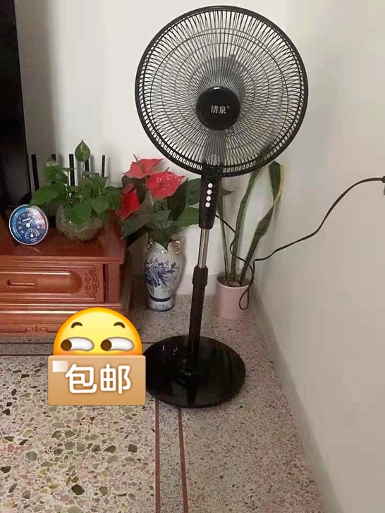 超市倒闭！48元一台家用落地扇16寸电扇静...