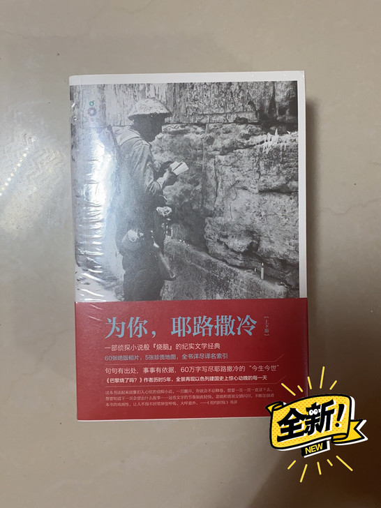 为你,耶路撒冷