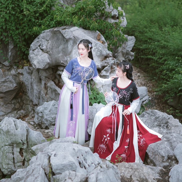 素羽华裳原创汉服女荏苒绣花坦领半臂齐腰襦裙...