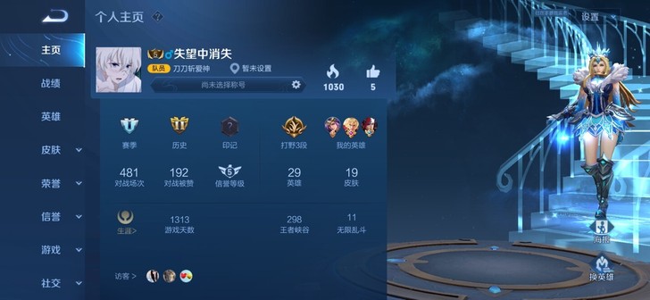 有冰冠公主 白龙吟 苍穹之光等等皮肤