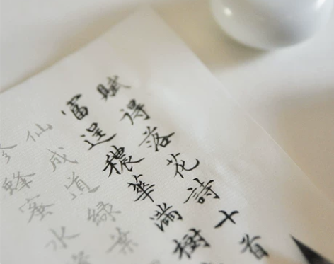 转  全新 花草小楷毛笔字帖描红宣纸书法练...