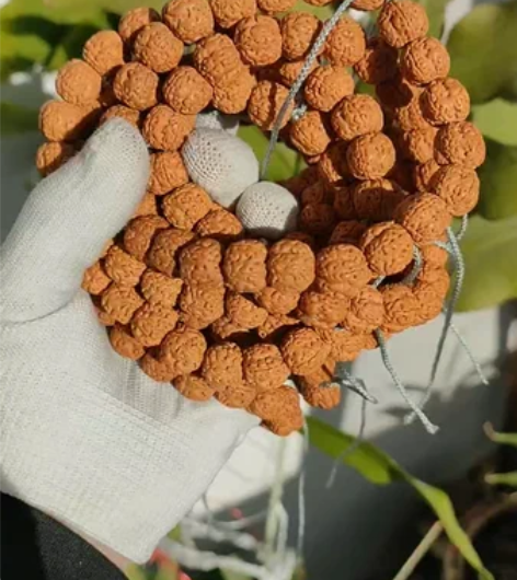花王小金刚手持单圈,尺寸12~14不等,皮...