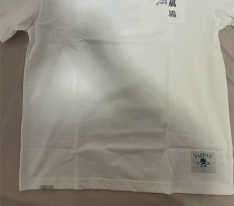李宁江左风流短袖T恤，M码，全新未穿着，保...