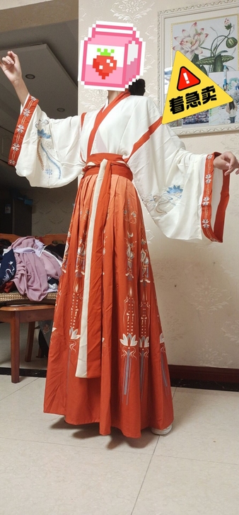 退坑出汉服