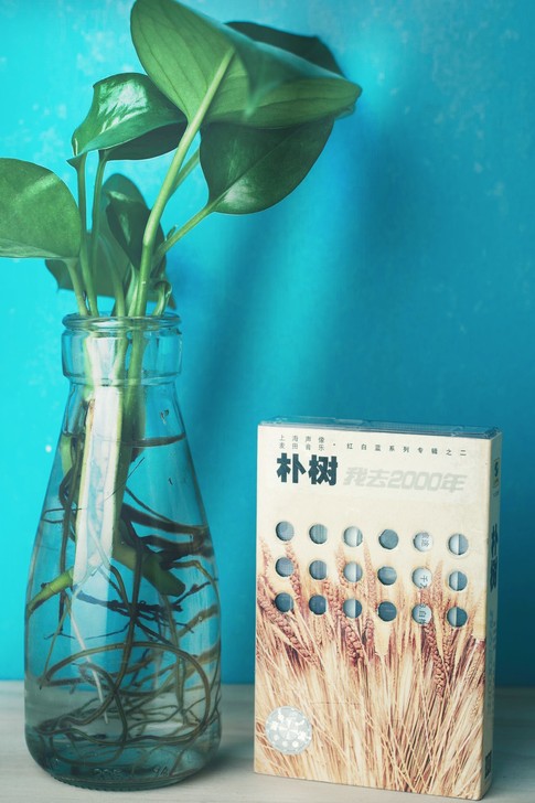 【闫炜男唱片出品】 经典的流行，长久的记忆...