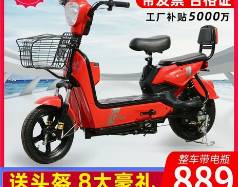 特价捡漏!电瓶车长跑王电动车新国标电动自行...