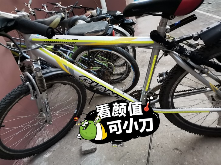 品牌型号 捷安特(21速)
