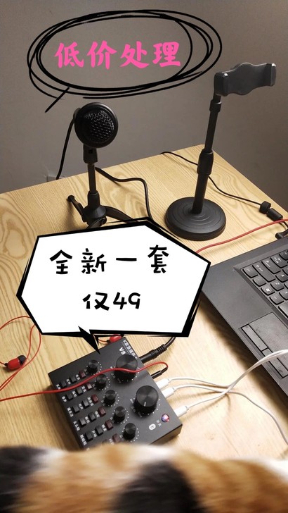 抖音爆款实体店转行清仓手机电脑通用直播声卡...