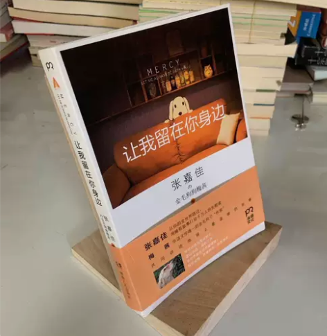 正版二手 让我留在你身边 湖南人民出版社...