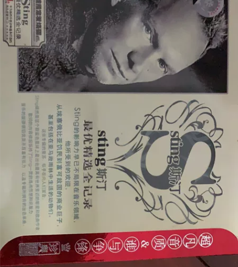 Sting 斯汀 精选集CD 音质有保证 ...