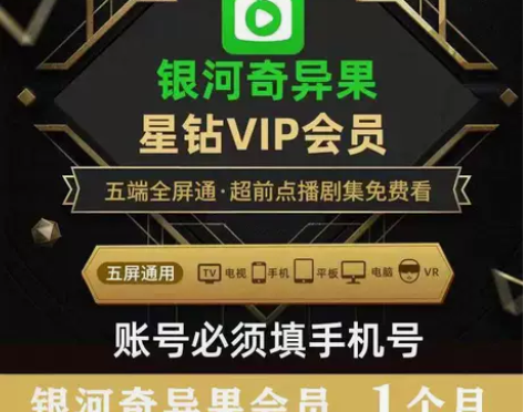 爱奇艺VIP星钻会员一个月卡会员充值银河奇...