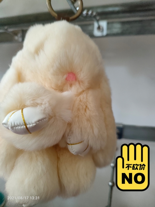 獭兔毛,萌萌兔