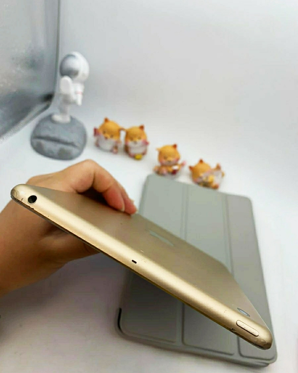 iPad mini3国行 爱思验机全绿  ...