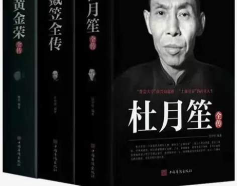 杜月笙全传传戴笠黄金荣民国历史人物黑道小说...