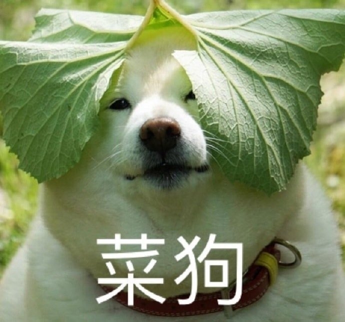 第五人格安卓官服百骰号