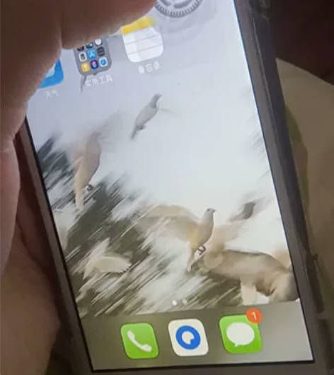 iPhone 8（售出不退！售出不退！售出...