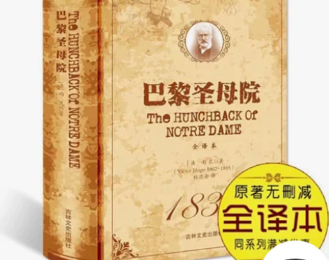 巴黎圣母院书正版 原著无删减 名家名译 巴...