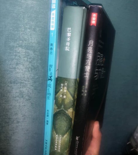 巴黎圣母院。     高中老师推荐必读需要...