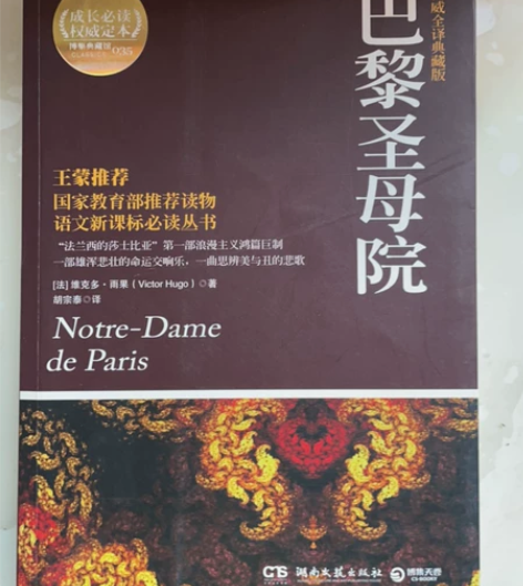 巴黎圣母院，放家里占地方，书页有点发黄，但...