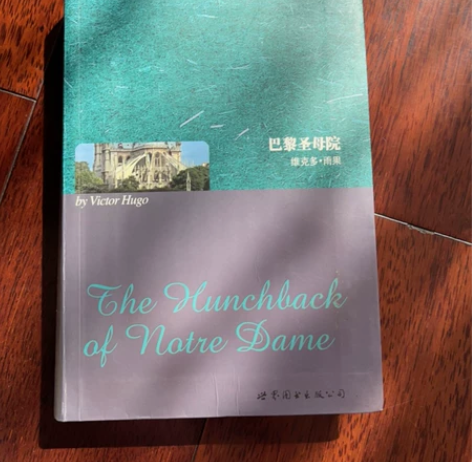 全英文 巴黎圣母院 包邮 感兴趣的话点“我...