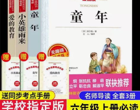 童年爱的教育小英雄雨来六年级必读课外阅读书...