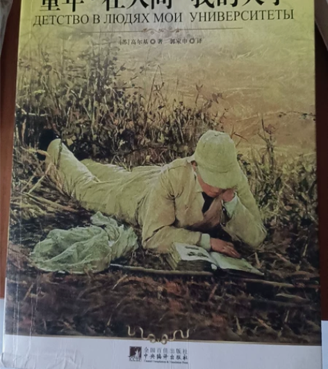 童年+在人间+我的大学赠相关课外必读 高尔...