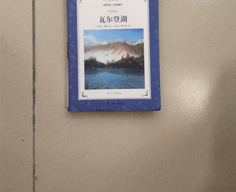 泽林出版《瓦尔登湖》》《呼啸山庄》两本一起...