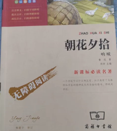 《朝花夕拾》(带笔记)《哈利波特与魔法石》...