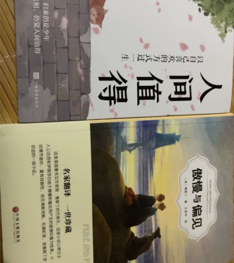 傲慢与偏见、人间值得 小说便宜出售 感兴趣...