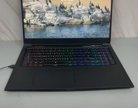 机械革命蛟龙7X 3070显卡R9 590...
