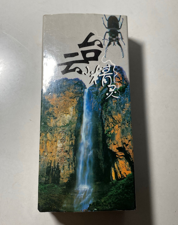 昆虫标本人工琥珀吊坠蝎子 儿童创意饰品项链