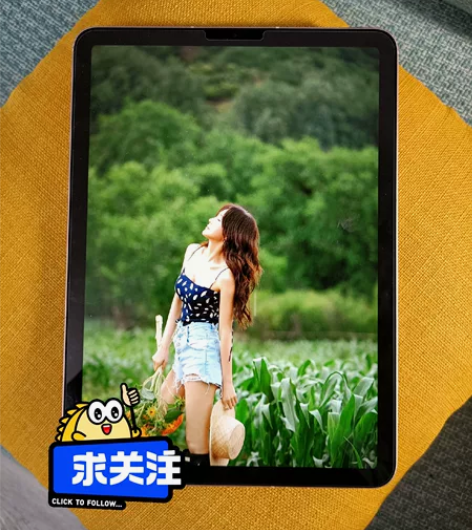 包邮iPad Air4 2020款插卡+W...