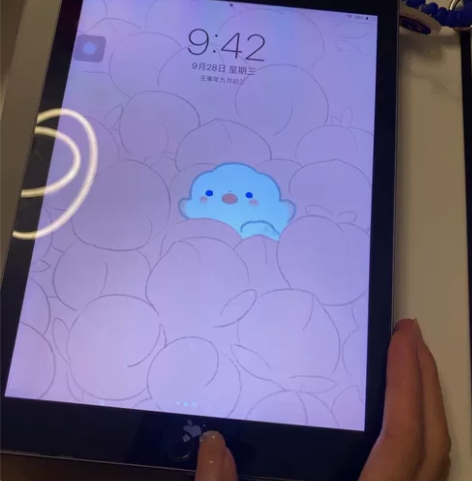 [出闲置]女生自用平板2020款iPad ...