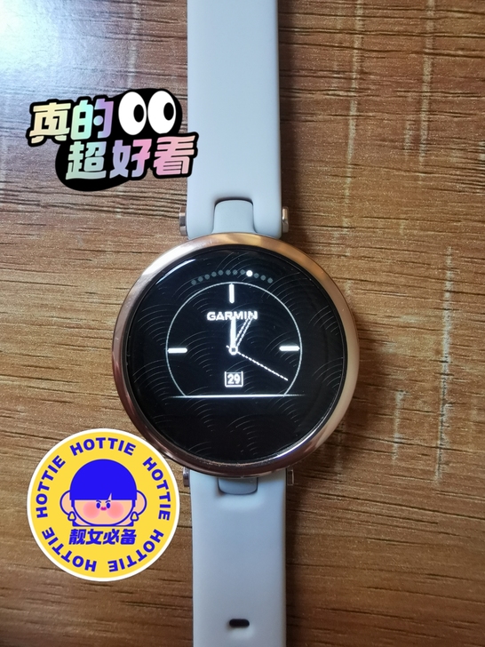 佳明lily Garmin lily 智能...