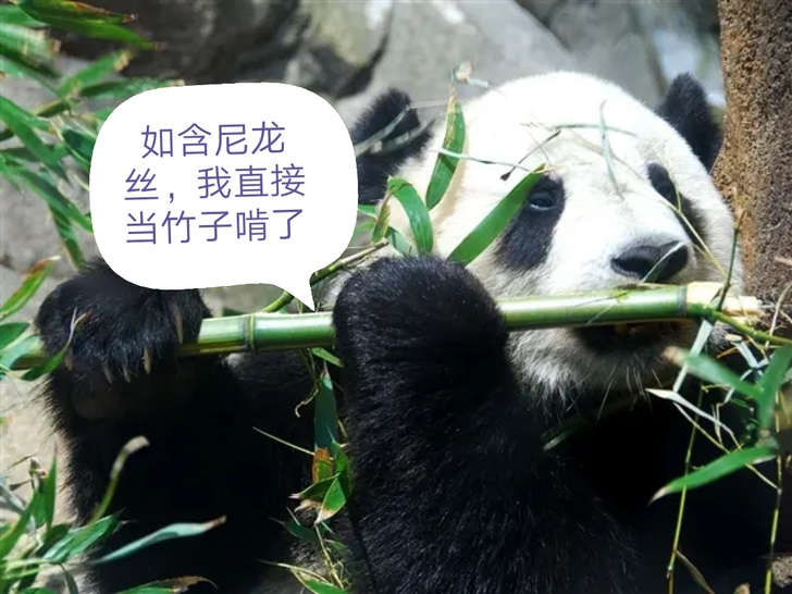 莱州掖县制笔厂,八九十年代老毛笔,湘妃印月...