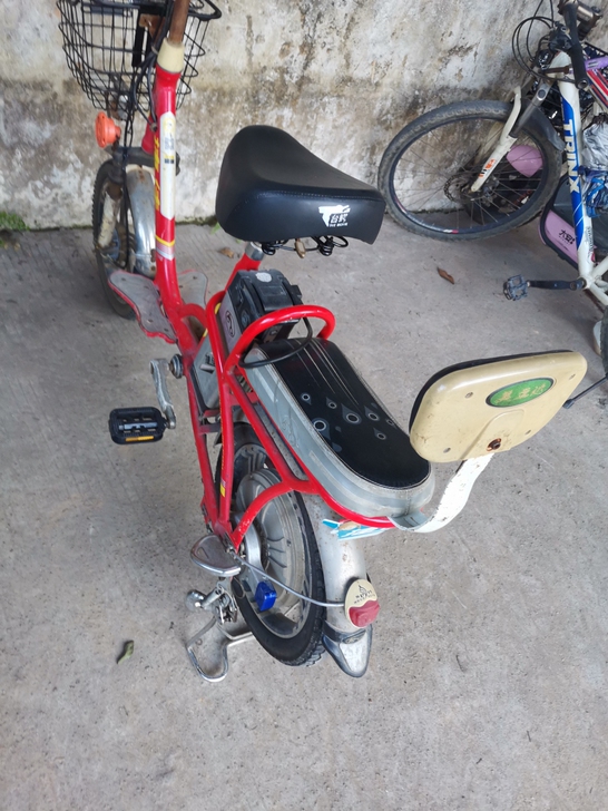 48伏装电动车