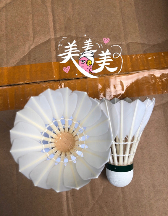 吃骨鸭2级全圆羽毛球