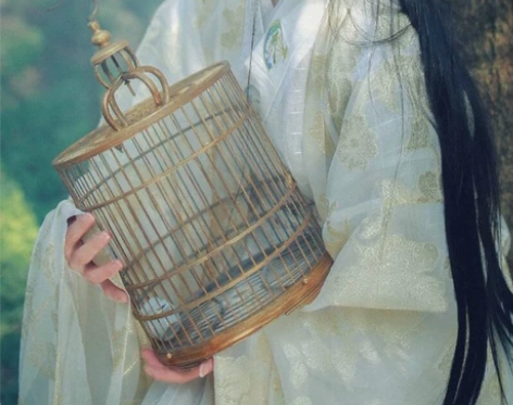 司南阁 毕方传统汉服交领齐腰襦裙 全套汉服...