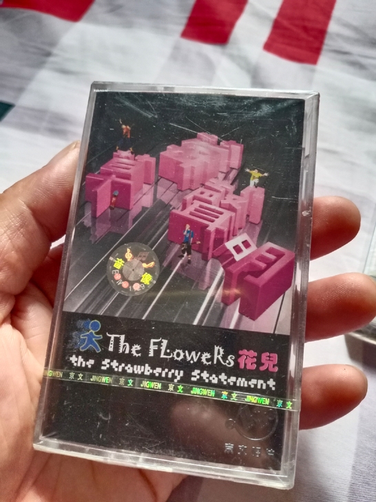 中国摇滚磁带，花儿乐队《草莓声明》，大张伟...