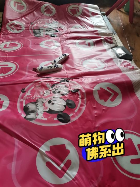 圣舞堂跳舞毯，买回来就拆开玩过一次，一直在...